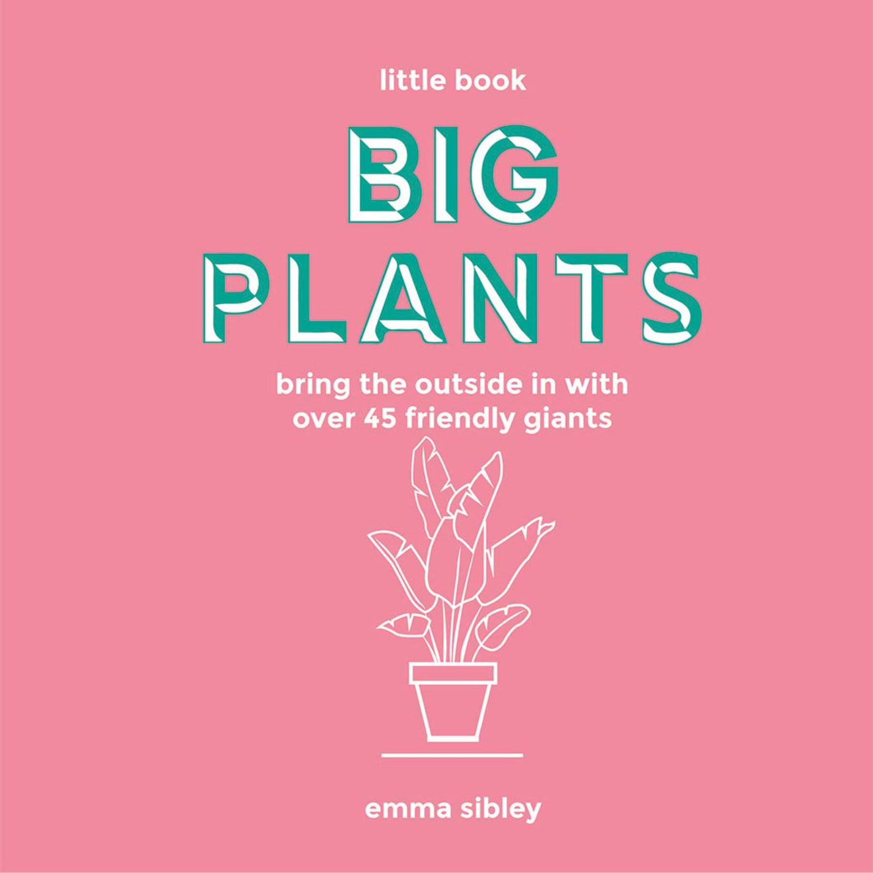 the little book of house plants Little Book, Big Plants – The Terracotta Collective